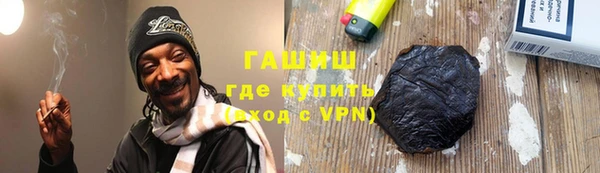 гашик Пестово