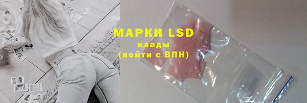 гашик Пестово