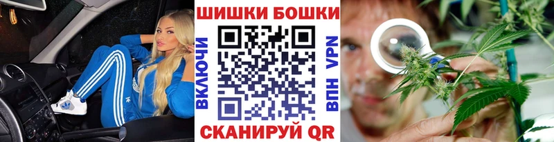 Канабис план  где купить наркотик  hydra ССЫЛКА  Алагир 